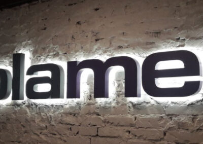 Логотип с контражурной подсветкой Plamet
