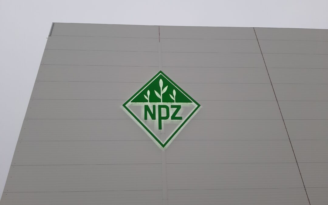 Фасадная вывеска с подсветкой NPZ